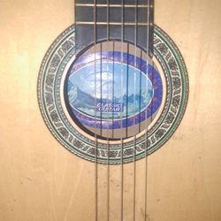 classic accouatic guitar