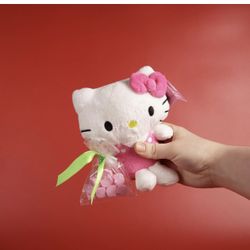 Hello Kitty Plush