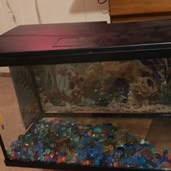Medium Size Fish Tank 