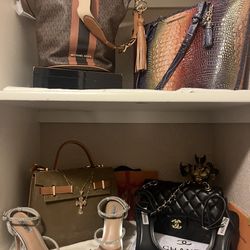 Michael Kors And Other Name Brand Purse(colorful) 
