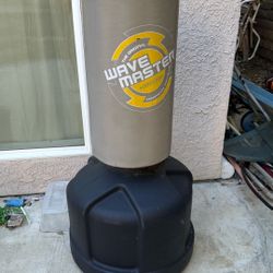 Wave Master Punching bag