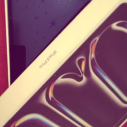 IPad Pro M64 13 Inch