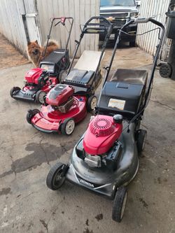 Lawn mower  honda  one year garanty Free delivery