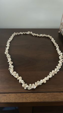 Shell bracelet