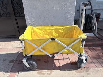 Beach Wagon