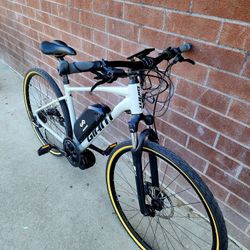 Giant Roam 29er Electric Bike - Excellent Condition