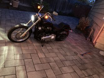 2020 Softail Standard Brand New