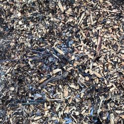 Woodchips 