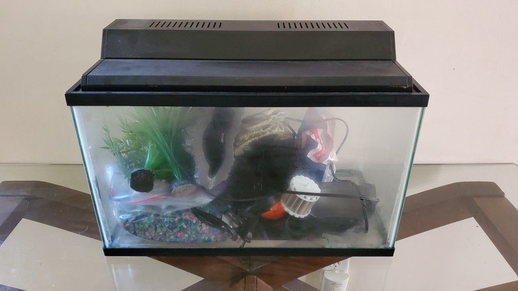 10 Gallon Fish Tank Full Set Up