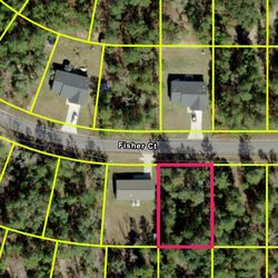 Lot for sale Ocklawaha Fl