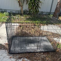 XL Pet crate 