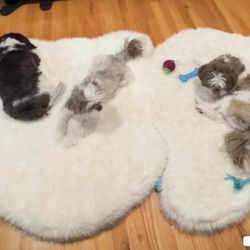 Faux Fur Floor Mat For Pets