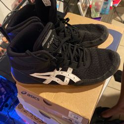 Wrestling Shoes 
