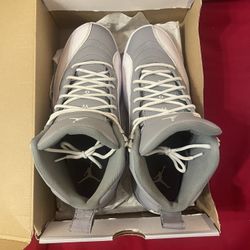 Jordan 12s Stealth