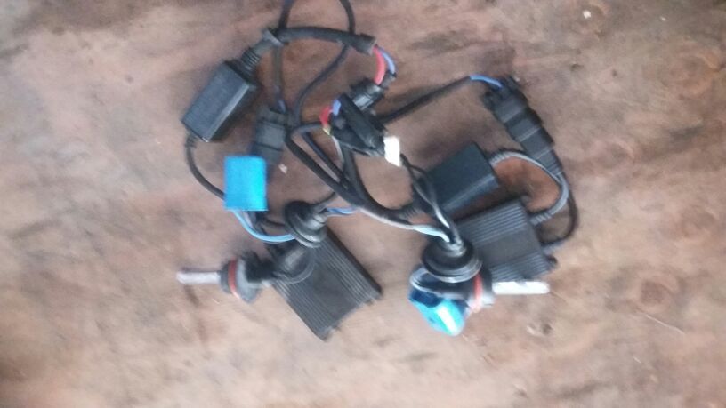 Luces de alogeno para Winstar 98