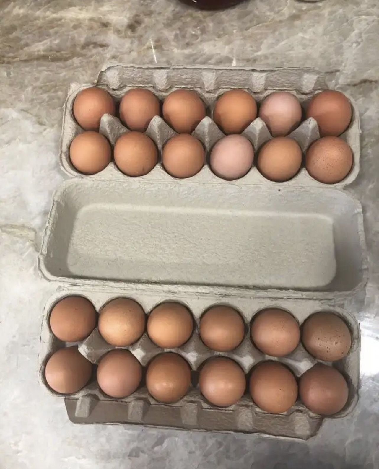 EGGS EGGS EGGS🐔🍳🥚