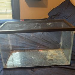 10 gallon tank