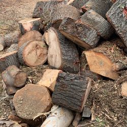 Oak Wood Logs 