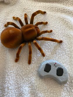 RC Tarantula Toy