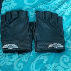 Harley Jackey And Gloves 