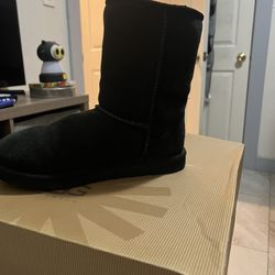 Bota Uggs