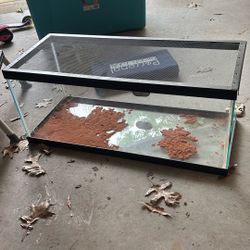 20 Gallon Tank
