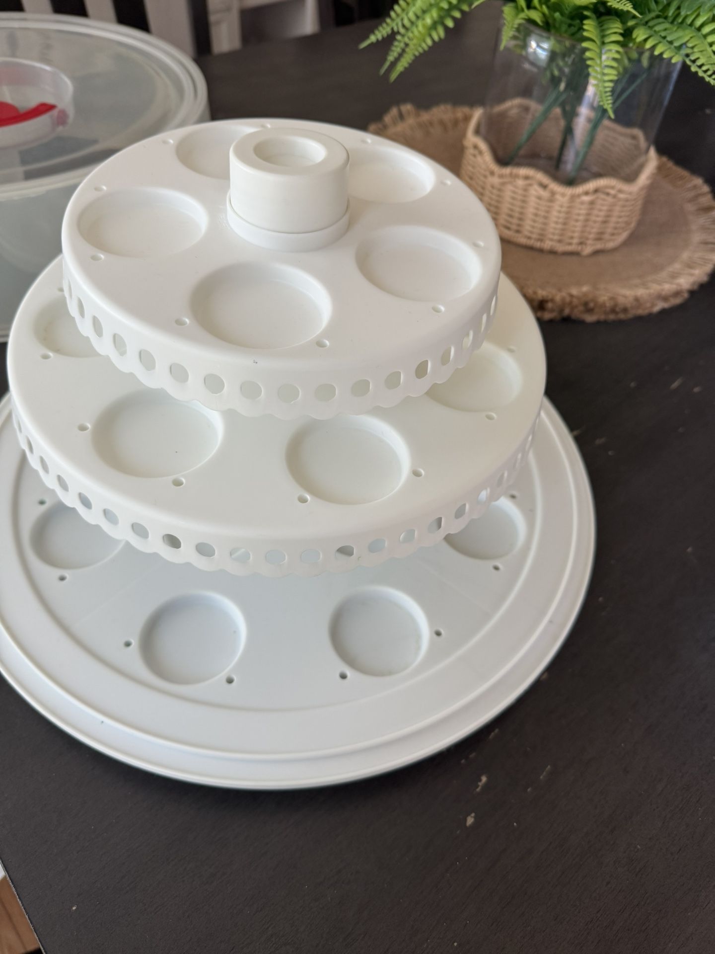 Cupcake And Cake Pop Carrier