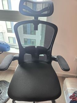 FelixKing  Ergonomic Office Chair (now $40, original $100)