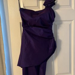 Deep Purple Dress 
