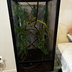 reptile cage & more