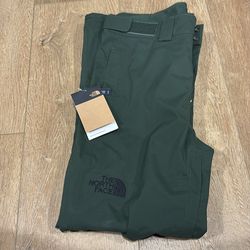 The north face snow pants men small