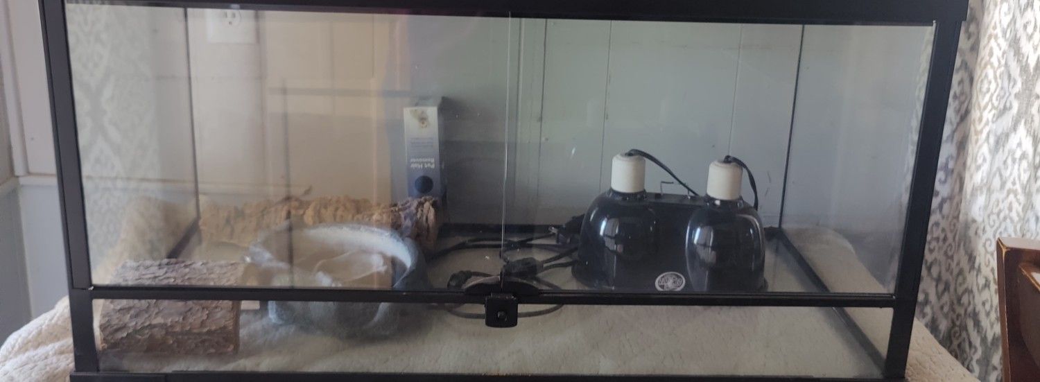 Reptile Tank Stuff Inside Included