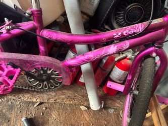 Bicicleta
