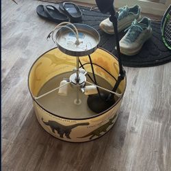 Dinasour Ceiling lamp and Desk Lamp