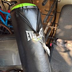 Everlast Boxing Bag