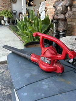 Electric Blower 