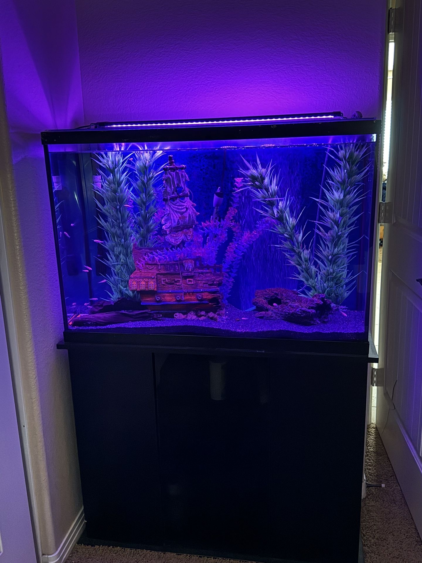 COMPLETE Fish Tank Set Up