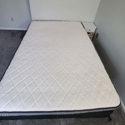 Sealy Queen Mattress