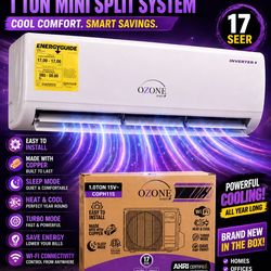 1Ton Ozone