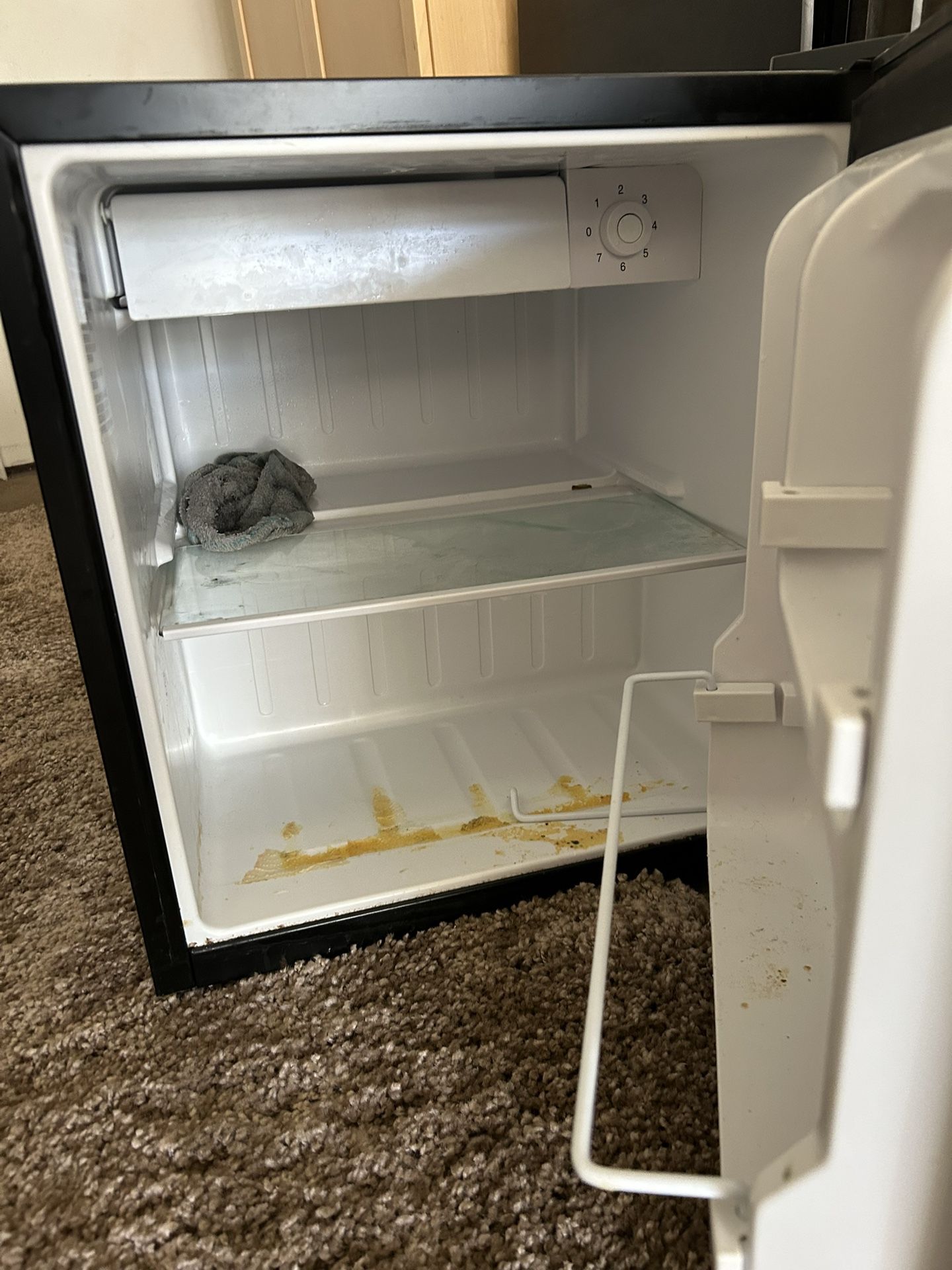 Mini Fridge