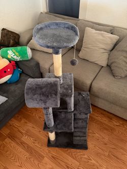 Cat play house