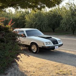 1984 Ford Mustang