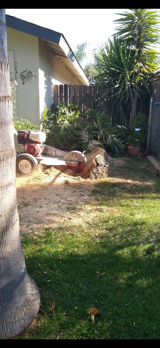 Trees/palms/stumps Business equipment