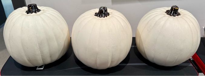 Fall Pumpkin Decor