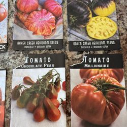 Heirloom Tomato Plants Grown From Seed