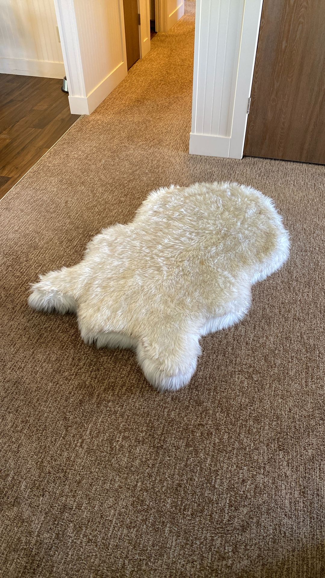 Memory Foam Dog Bed