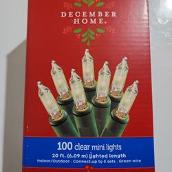 100 Clear Mini Lights 