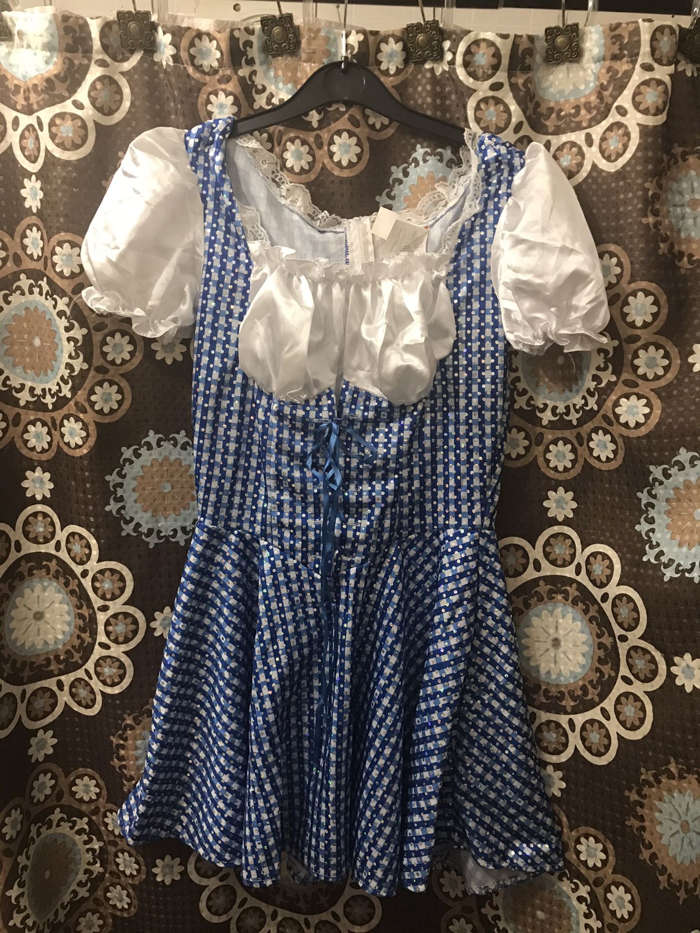 New Wizard of Oz Dorothy costume Women’s Size Small includes hair bows
