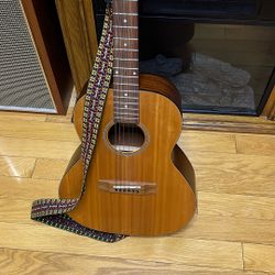 Morgan Monroe M N-5 Guitar