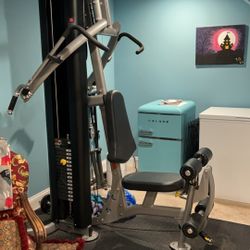 Hoist Mi1 Workout Machine 